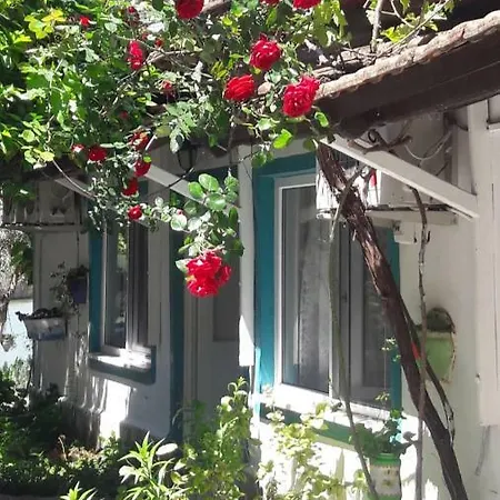 Zakkum Hotel
