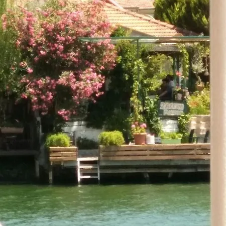 Zakkum Dalyan